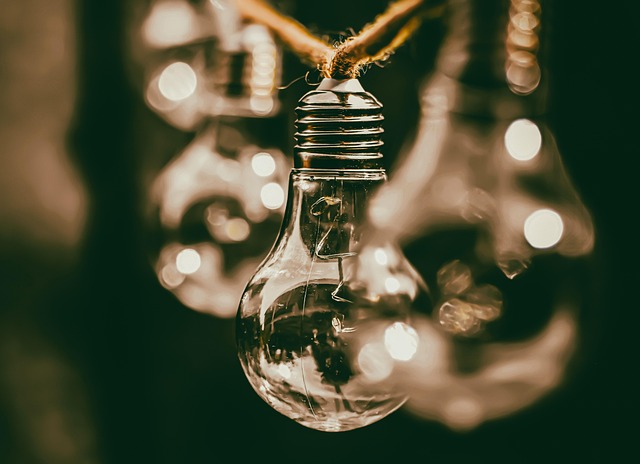 ekologia zrównoważony rozwój trendy środowiskowe