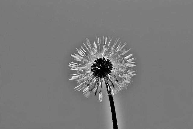 historia rozwoju przedsiębiorczości w polsce